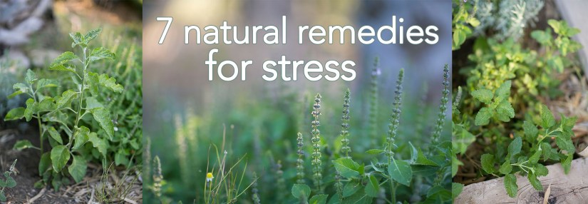 7 natural stress remedies