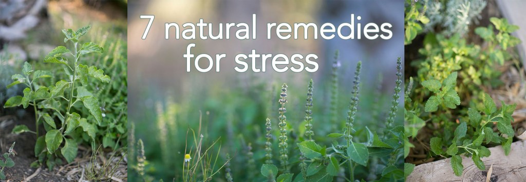 7 natural stress remedies
